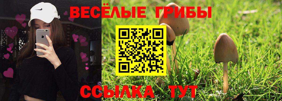 Псилоцибиновые грибы прущие грибы  Вход с VPN  Дербент  Псилоцибиновые грибы MAGIC MUSHROOMS 